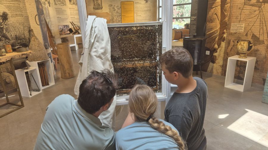 מוזיאון הדבש